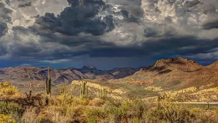 Desert Magick