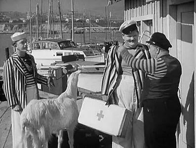 Saps at Sea (1940)