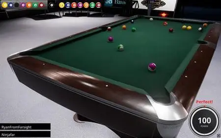 Brunswick Pro Billiards (2020)