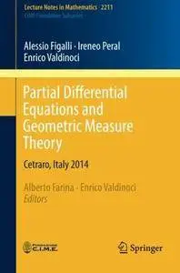 Partial Differential Equations and Geometric Measure Theory (Lecture Notes in Mathematics) [Repost]