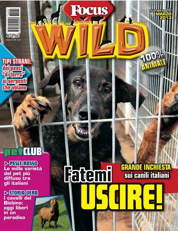 Focus Wild No.20 - Marzo 2013
