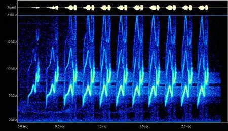 Spectrogram ver.14.8