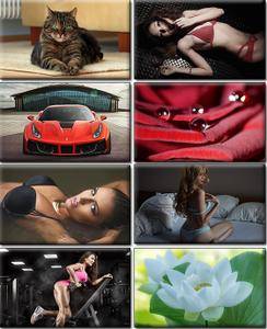 LIFEstyle News MiXture Images. Wallpapers Part (1162)