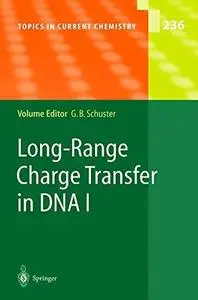 Long-Range Charge Transfer in DNA I
