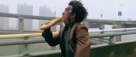 Crazy Stone (2006)