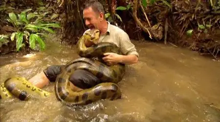UKTV - Wild Colombia (2012)