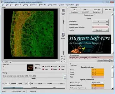 SVI Huygens Suite v3.6.0p2 Win32