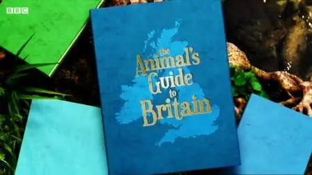 BBC - The Animals Guide to Britain (2011)