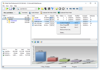Folder Size Professional 4.5 (x64) Portable