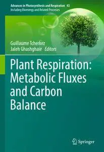 Plant Respiration: Metabolic Fluxes and Carbon Balance