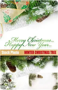 UHQ Stock Photo - Winter Christmas Tree