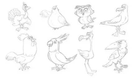 Illustrate & Draw Birds Characters With Pencil