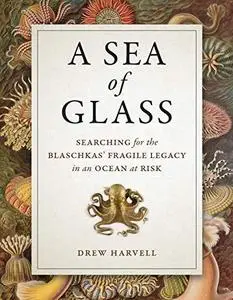 A Sea of Glass: Searching for the Blaschkas’ Fragile Legacy in an Ocean at Risk