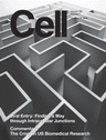 Cell Vol 124 Issue 1 pp. 1-219  January 13, 2006 *Digitally Mastered - Not Scanned*