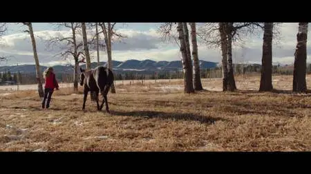 Heartland S11E18