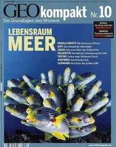 Geo Kompakt Magazin No 10 Lebensraum Meer