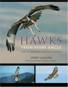 Hawks from Every Angle: How to Identify Raptors In Flight (Repost)