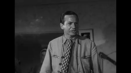 To Joy / Till glädje (1950) + Summer Interlude / Sommarlek (1951) [Criterion Collection]