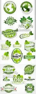 Eco Labels Vector