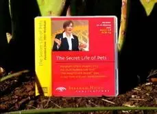 Abraham Hicks - The Secret Life of Pets (Repost)