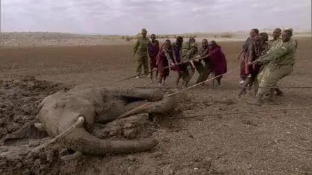 Africa. Season 1, Episode 1-6 / Africa with David Attenborough / Африка (2013) [ReUp]