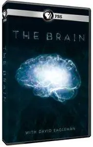 PBS - The Brain with David Eagleman (2015)