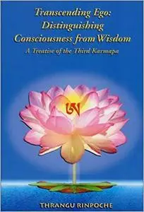 Transcending Ego: Distinguishing Consciousness from Wisdom