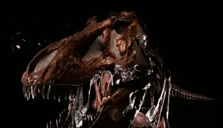(Fr5) Un film, une histoire : Jurassic Park (2011)