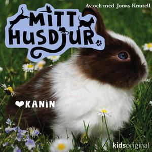 «Mitt husdjur: Kanin» by Jonas Knutell