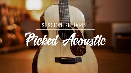 Native Instruments Session Guitarist Picked Acoustic v1.0 KONTAKT