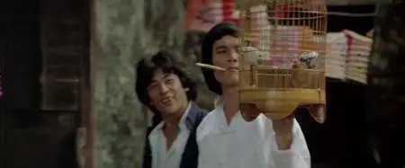 Drunken Master (1978) [10 bit]