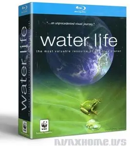 Water Life (2008) [Box Set]
