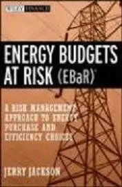 Energy Budgets at Risk (EBaR): A Risk Management Approach to Energy Purchase and Efficiency Choices