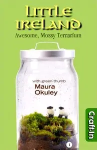 Little Ireland Terrarium: Awesome, Mossy Terrarium