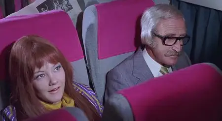 Die Stewardessen / Stewardesses Report (1971)