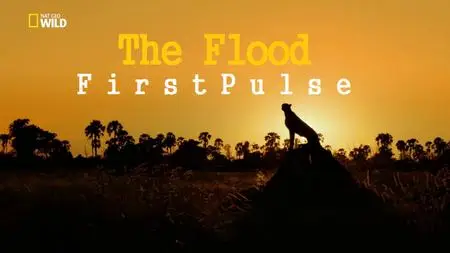NG. - The Flood: First Pulse (2018)