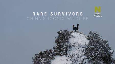 Rare Survivors: China's Iconic Wildlife (2020)