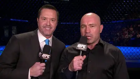 Ultimate Fighting Championship - UFC 178 : Johnson vs Cariaso (2014)