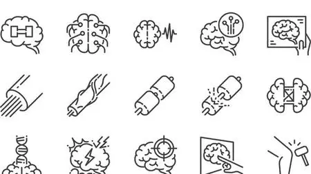 Introduction To Neurological Examination
