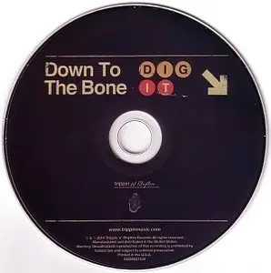 Down To The Bone - Dig It (2014) {Trippin N Rhythm}