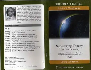 Superstring theory : the DNA of reality