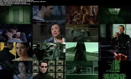 The Matrix Reloaded (2003) [Open Matte]