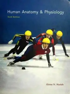 Human Anatomy & Physiology, 6th Edition