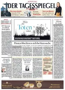 Tagesspiegel am Sonntag, 25. November 2012