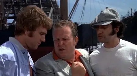 The Thief Who Came to Dinner (1973)