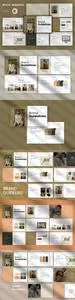 Brand Guidelines Presentation Template