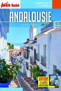 Dominique Auzias, Jean-Paul Labourdette, "Andalousie - Carnet de voyage 2018"