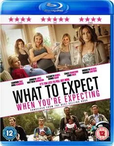 What to Expect When You're Expecting (2012)