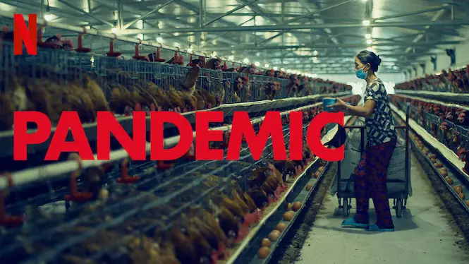 Pandemic: How to Prevent an Outbreak