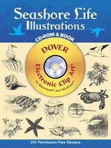 Dover - Seashore Life Illustrations (Vector Design)